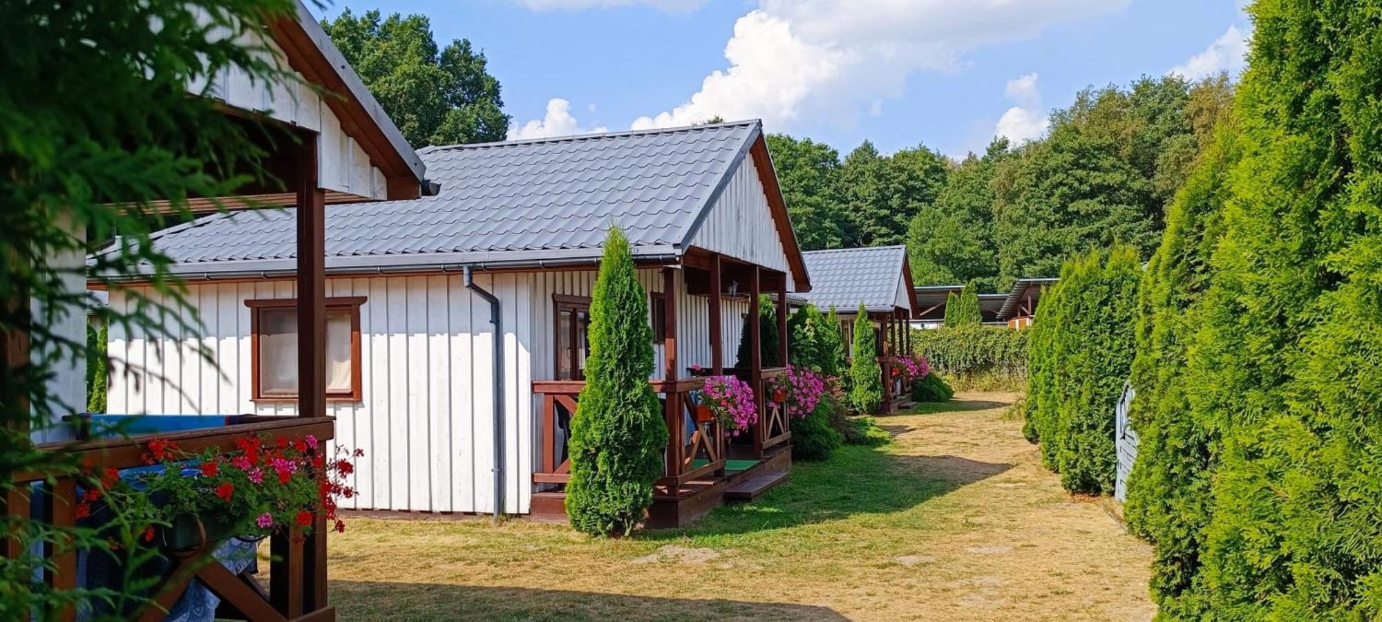Letniskowe Palmas *